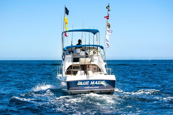 Fishing Chartes in Los Cabos-11